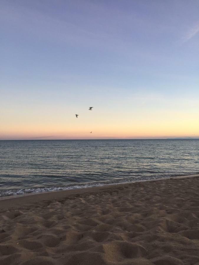 Jm Vacances Sérignan מראה חיצוני תמונה